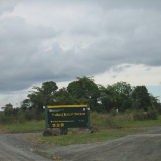 puketi-2018-nz-07