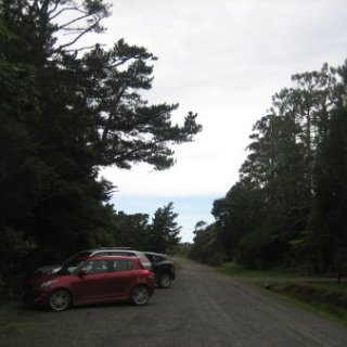 puketi-2018-nz-08