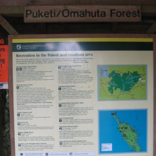 puketi-2018-nz-10