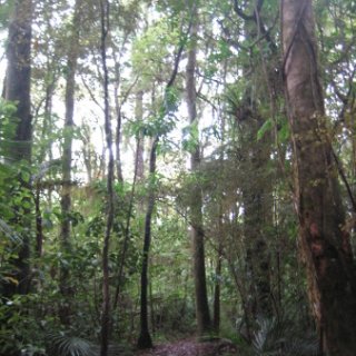 puketi-2018-nz-17