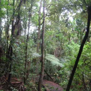 puketi-2018-nz-18