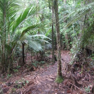 puketi-2018-nz-28