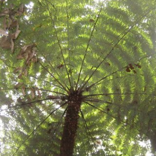 puketi-2018-nz-30