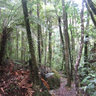 puketi-2018-nz-34