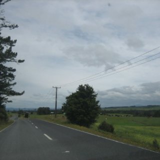 puketi-2018-nz-37