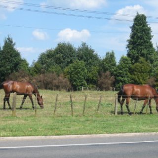 2018-NZ-travel-017
