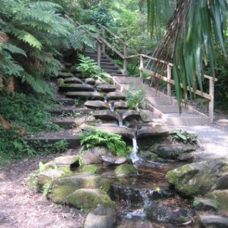 2018-NZ-travel-021