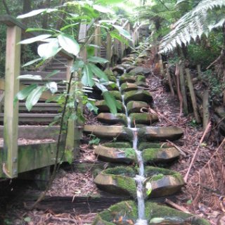 2018-NZ-travel-024