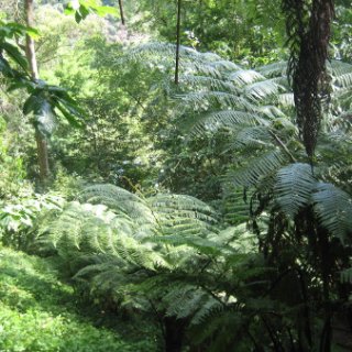 2018-NZ-travel-025