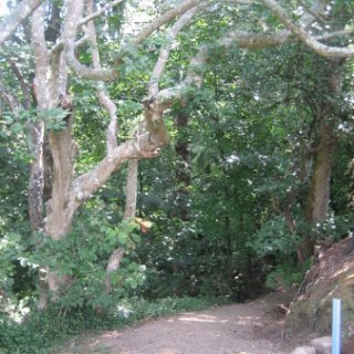 2018-NZ-travel-029