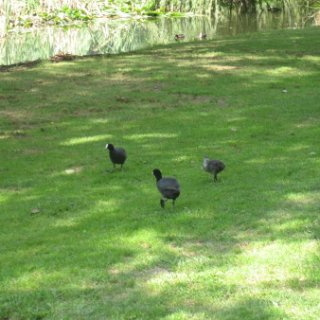 2018-NZ-travel-032