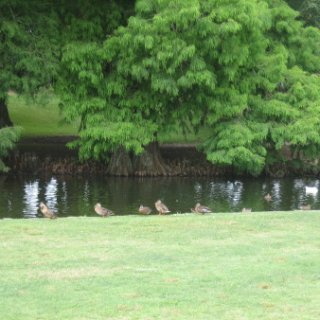 2018-NZ-travel-034