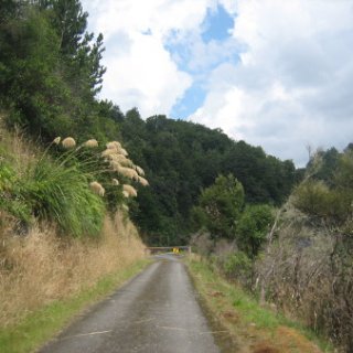 2018-NZ-travel-058