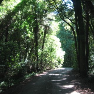 2018-NZ-travel-095