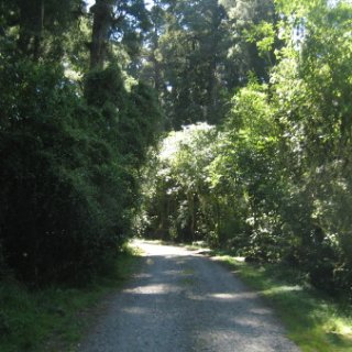 2018-NZ-travel-099