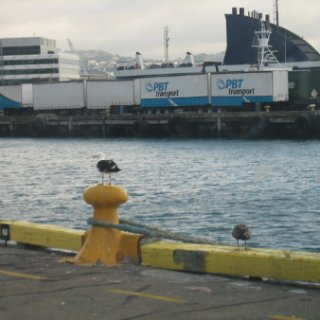 2018-NZ-travel-149