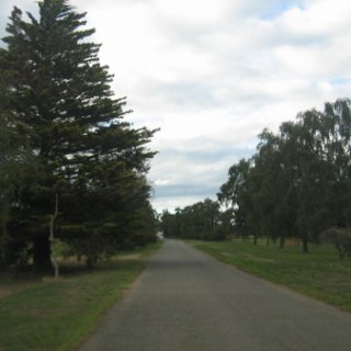 2018-NZ-travel-228