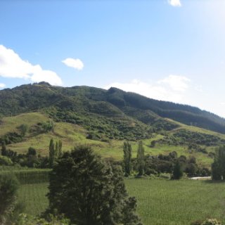 2018-NZ-travel-248