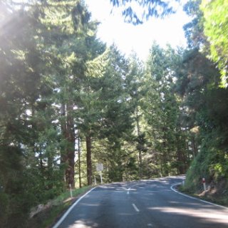 2018-NZ-travel-250