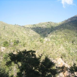 2018-NZ-travel-265