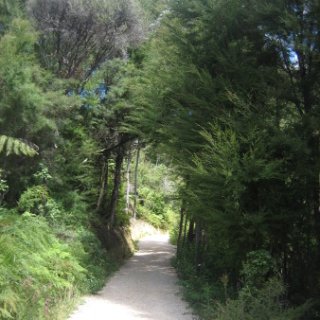 2018-NZ-travel-301