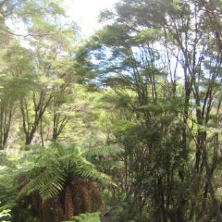 2018-NZ-travel-302