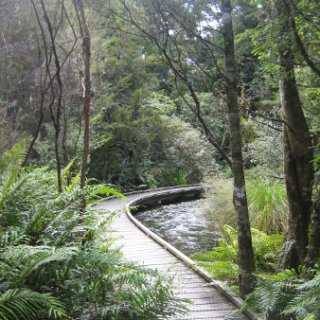 2018-NZ-travel-303