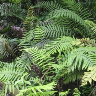 2018-NZ-travel-304