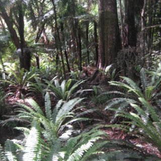 2018-NZ-travel-307