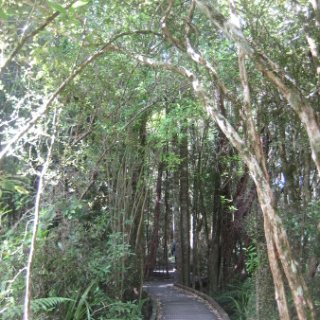 2018-NZ-travel-308