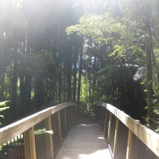 2018-NZ-travel-311
