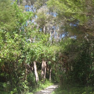 2018-NZ-travel-318