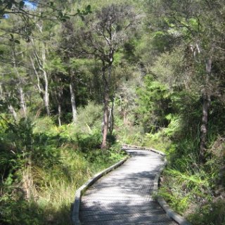 2018-NZ-travel-321