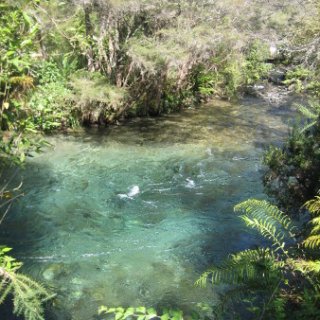 2018-NZ-travel-322