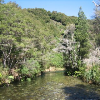 2018-NZ-travel-323