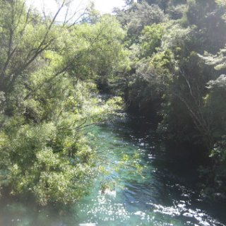 2018-NZ-travel-326