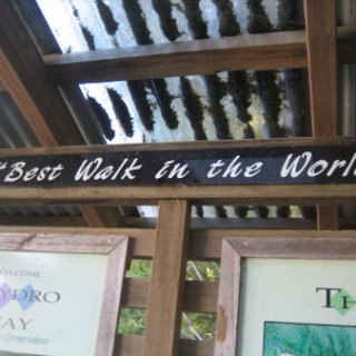 2018-NZ-travel-333