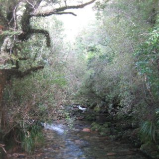 2018-NZ-travel-342