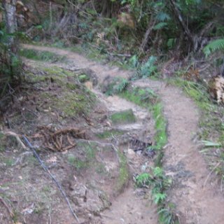 2018-NZ-travel-343