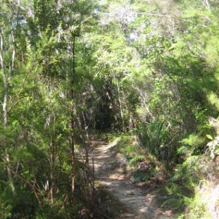 2018-NZ-travel-347