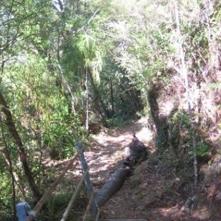 2018-NZ-travel-349