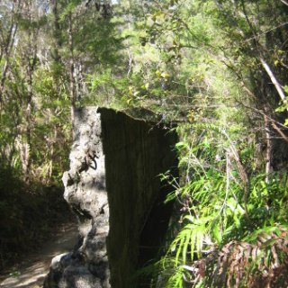 2018-NZ-travel-350