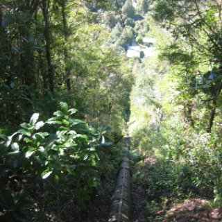 2018-NZ-travel-352