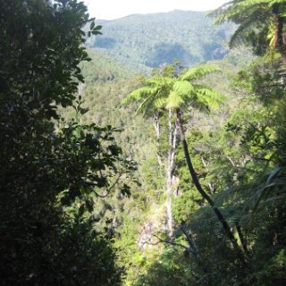 2018-NZ-travel-356
