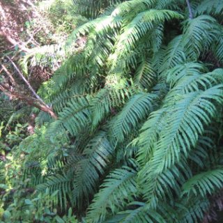 2018-NZ-travel-359