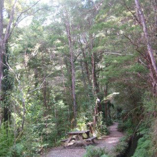 2018-NZ-travel-365