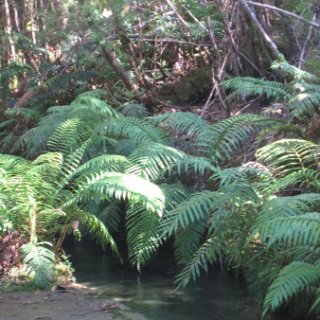 2018-NZ-travel-367
