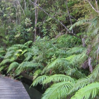 2018-NZ-travel-357