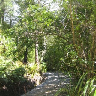 2018-NZ-travel-372-01