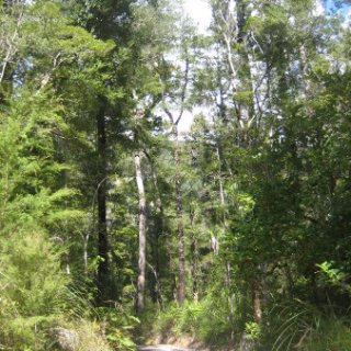2018-NZ-travel-373